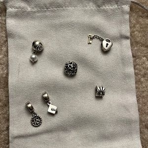 Pandora Charms